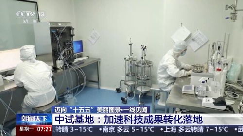 一線見聞丨順藤摸瓜 深圳科創青藤體系，如何賦能硬科技轉化？